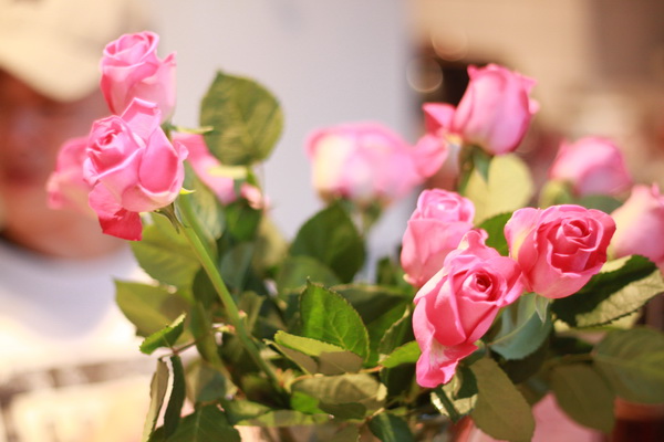 IMG_1311_resize