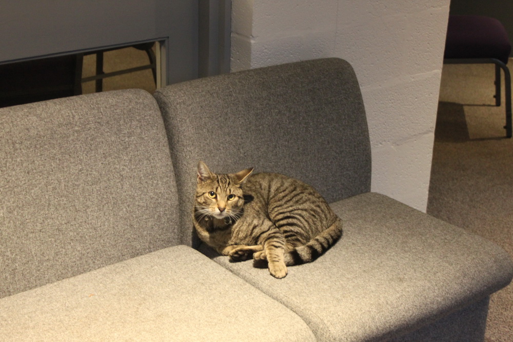 IMG_3315_resize