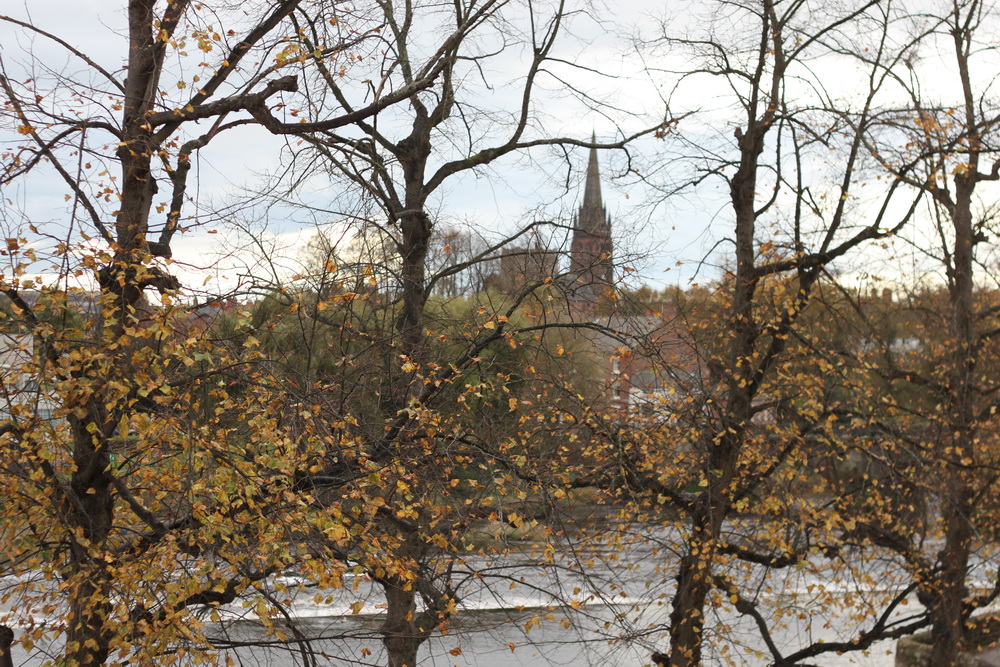 IMG_3921_resize