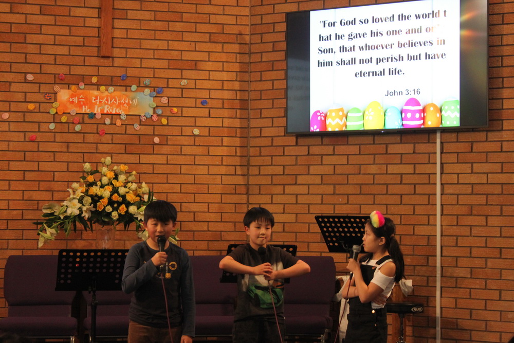 IMG_6666_resize