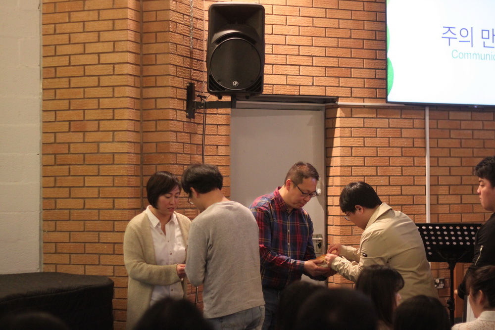 IMG_6981_resize