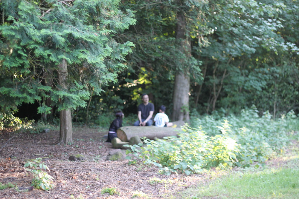 IMG_7743_resize