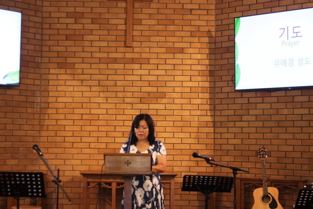 IMG_8559_resize