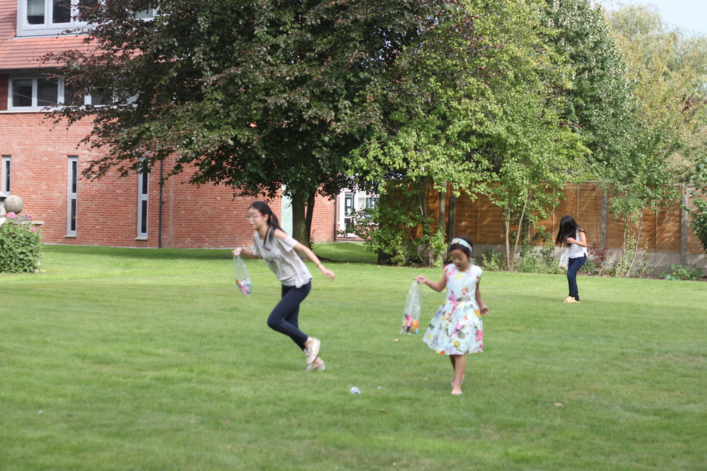 IMG_9382_resize